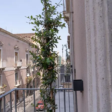 Bed and breakfast Zagara E Lumia